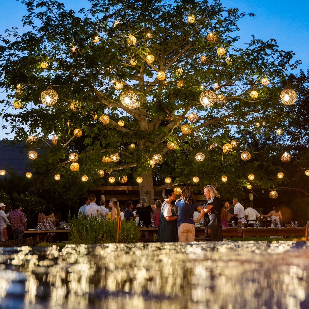 An outdoor restaurant with a large tree adorned with glowing lanterns.